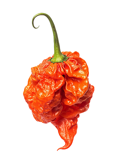 Dein Rezept mit Carolina Reaper